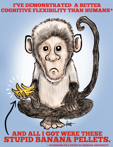 "Ha, Dumb Monkeys." DTNS 10/18/19 8.5 x 11 ArtProv Print